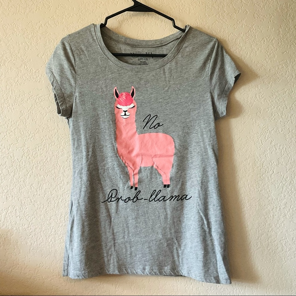 3/$18 🌸 Pink Llama T-Shirt